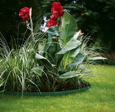 Gardena Ágyáskeret 9 cm zöld