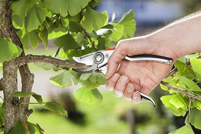 Gardena Premium metszőolló BP50