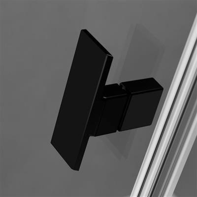 Radaway Nes Black DWJ II 100 J zuhanyajtó, 1000x2000, 6 mm (10036100-54-01R)