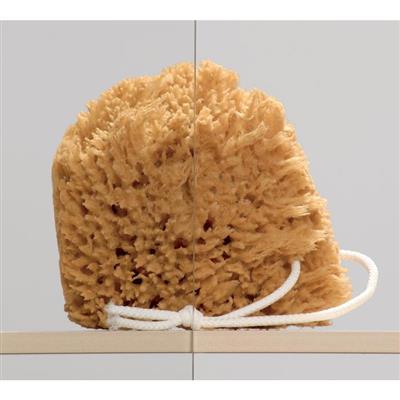 Radaway Furo Walk-in 80 J zuhanyfal, átlátszó, jobbos (cikkszám: 10106438-01-01R)